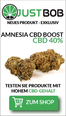 Amnesia CBD Boost Gras