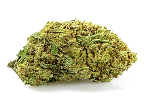 Krug CBD Blüten der Sorte Orange Skunk