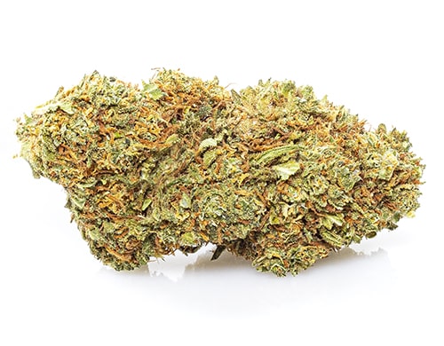 Krug CBD Blüten der Sorte Orange Skunk