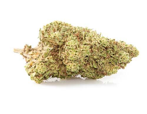 Krug CBD Blüten der Sorte Orange Skunk