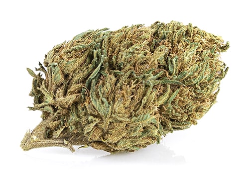 CBD Blüten der Sorte Lemon Cheese