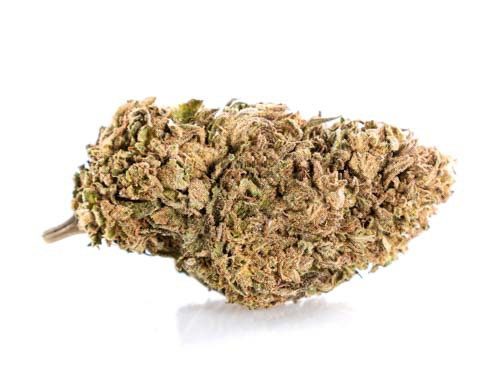CBD Blüten der Sorte Lemon Cheese