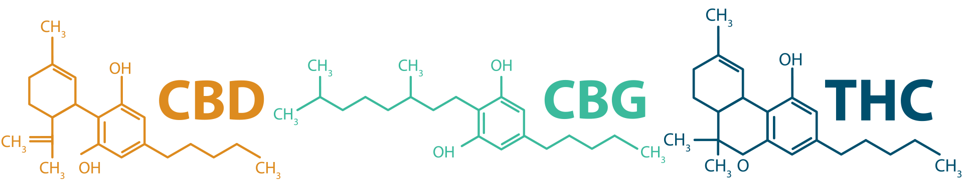 DIE WIKUNGEN VON CBD