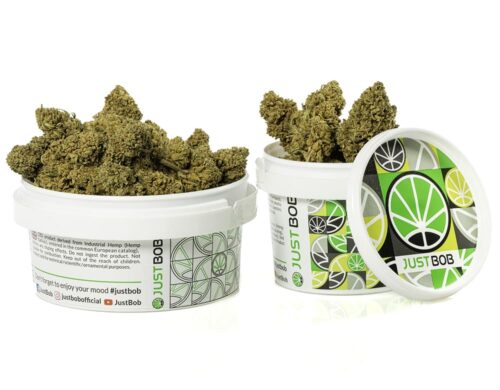 Qualitativ hochwertiges CBD Gras in einem versiegelten Behälter zur Frischebewahrung