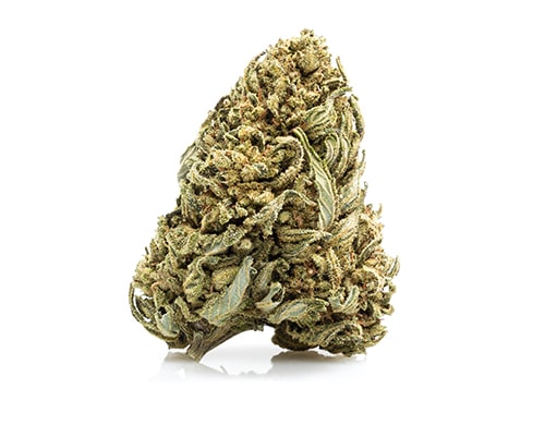 CBD blüten der Sorte White widow