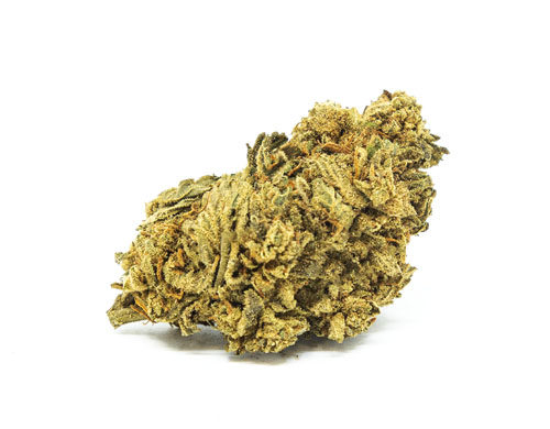 CBD Blüten der Sorte White Widow