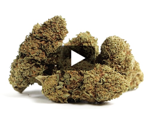cbd-gras-sweet-berry