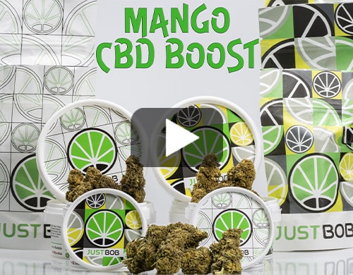cbd-online-kaufen-Mango-cbd-boost