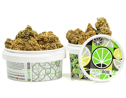 kann-MASTER KUSH-cannabis-cbd