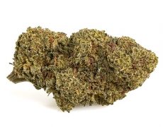 mango-cbd-boost-small-cbd-blueten