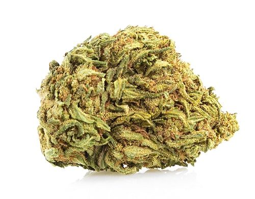 CBD Blüten der Sorte Mango Haze