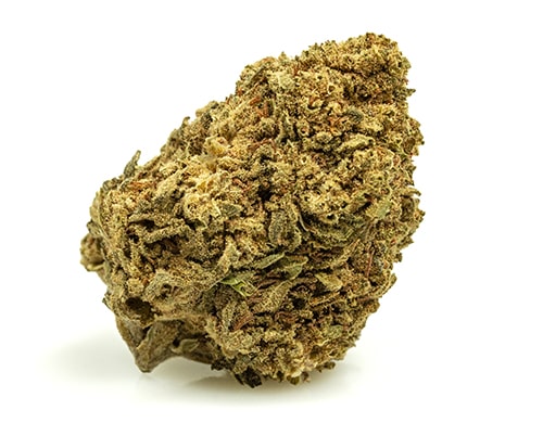 MASTER KUSH-small-cbd-blueten