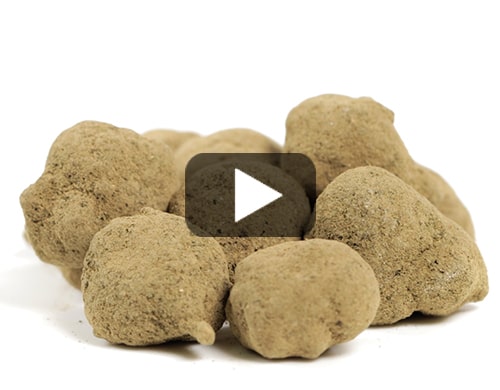 moonrock-cbd-blueten