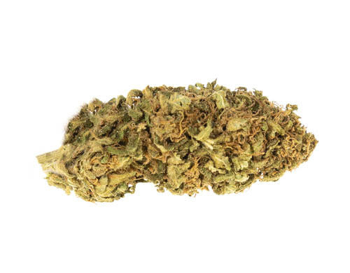 CBD Blüten der Sorte Bubblegum