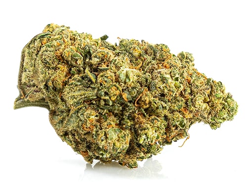 CBD blüten der Sorte Bubblegum