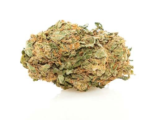 CBD Österreich der Sorte Bubblegum