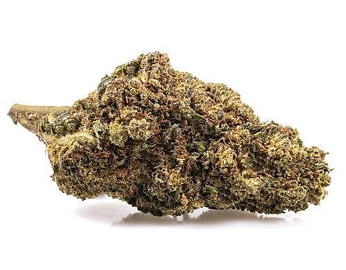 GG#4 CBD Boost cbd gras