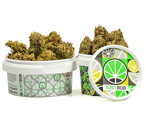 kann-bubblegum-cannabis-cbd