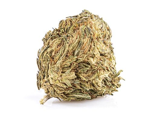 Melon-kush-cbd-blueten-oesterreich