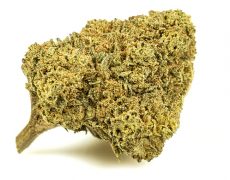 MELON KUSH-small-cbd-blueten