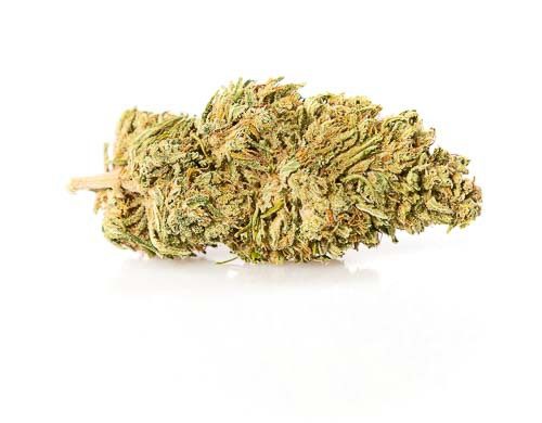 CBD Blüten der Sorte Melon Kush