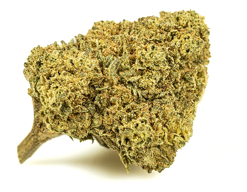 MELON KUSH-small-cbd-blueten