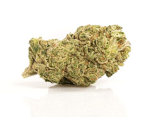 CBD Blüten der Sorte Gorilla Glue