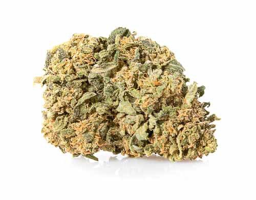 CBD Blüten der Sorte Gorilla Glue