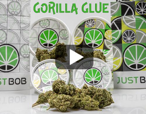 gorilla-glue-video