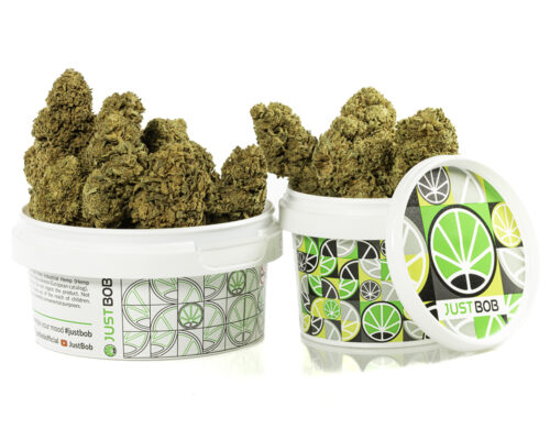 CBD Blüten des CALIFORNIA HAZE in einem weißen Behälter
