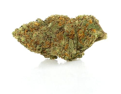 California Haze Cannabis Blüte