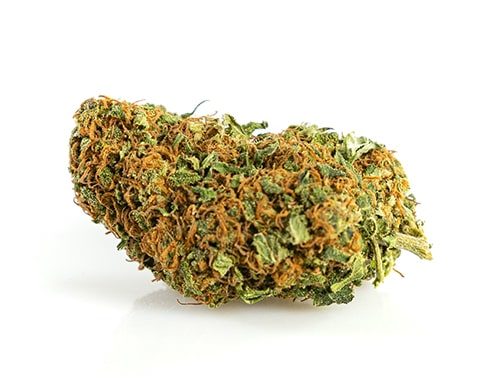 California Haze Cannabis Blüte