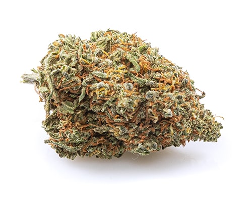 California Haze Cannabis Blüte