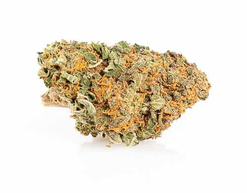 California Haze Cannabis Blüte
