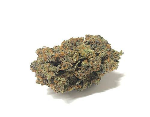 CBD Blüten der Sorte California Haze
