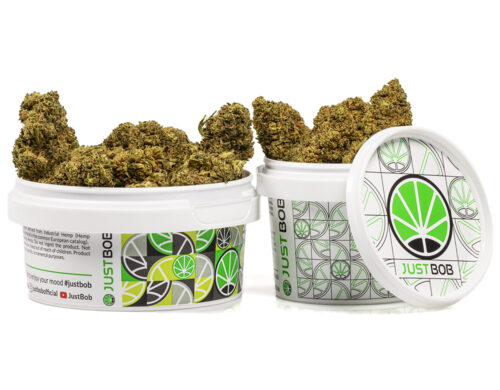 kann master kush cbd blueten