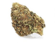 Master Kush Cannabis Blüte Artikel