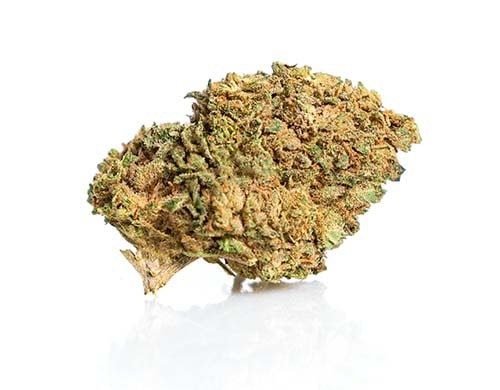 Master Kush Cannabis Blüte Artikel