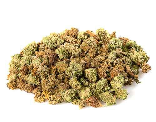 CBD Gras der Sorte Small Buds Mix