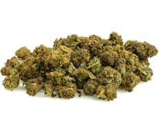 small-buds-mix-cbd-blueten