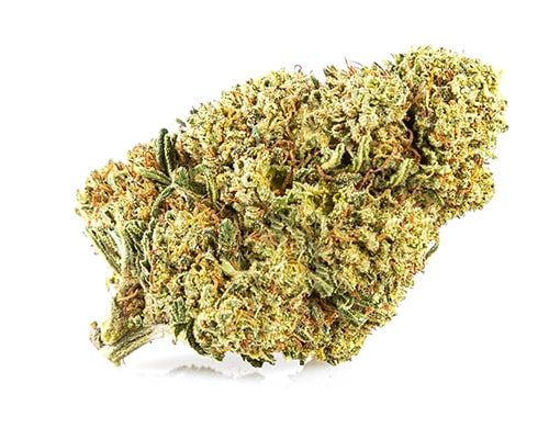 CBD blüten der Sorte Sweet Berry
