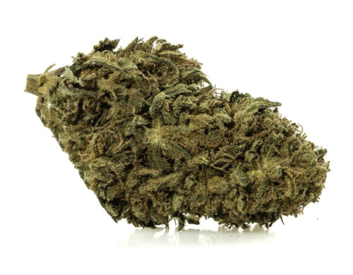 Nahaufnahme einer Spitze von cbd Gras Sweet Berry