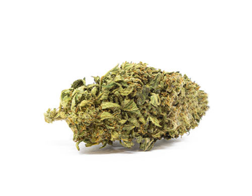 CBD Blüten der Sorte Sweet Berry