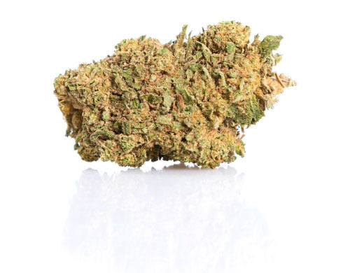 CBD Gras der Sorte Sweet Berry