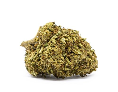 CBD Blüten der Sorte Orange Bud