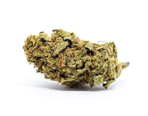 CBD Blüten der Sorte Melon Kush
