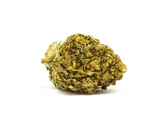 CBD Blüten der Sorte Lemon Cheese