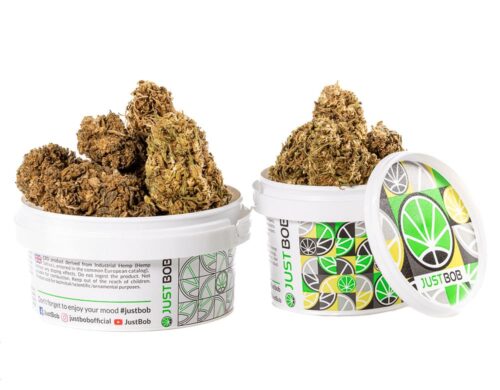 CBD Blüten des Outdoor Mix in einem weißen Behälter