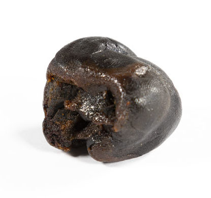 Gelato 33 CBD Hasch Sorte