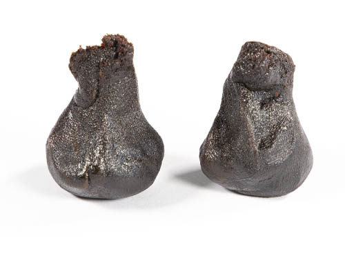 2 Stücke der Girl Scout Cookies Sorte Hasch CBD